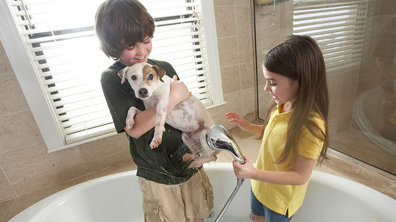 Tub Using Water Heater For Puppy Bath